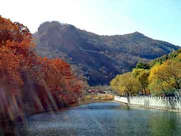 管家婆黑白马报图库，油墨价格